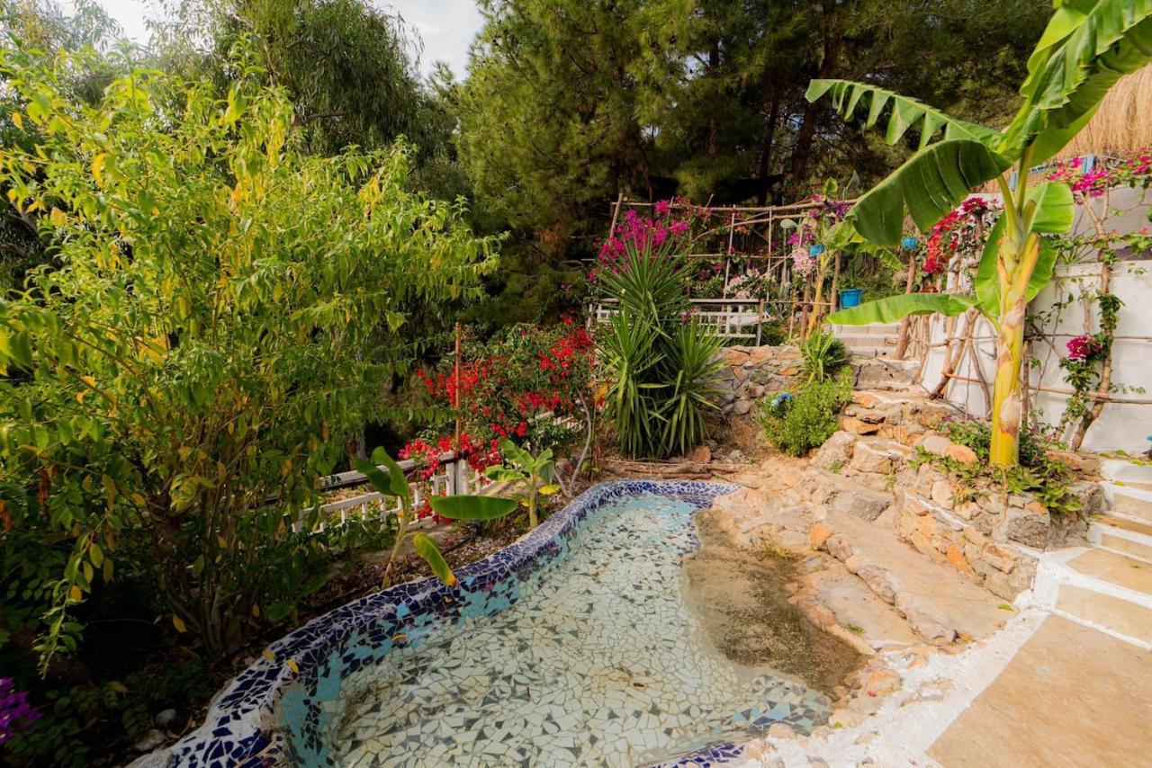 Begonvilla Bungalows 페티예 외부 사진