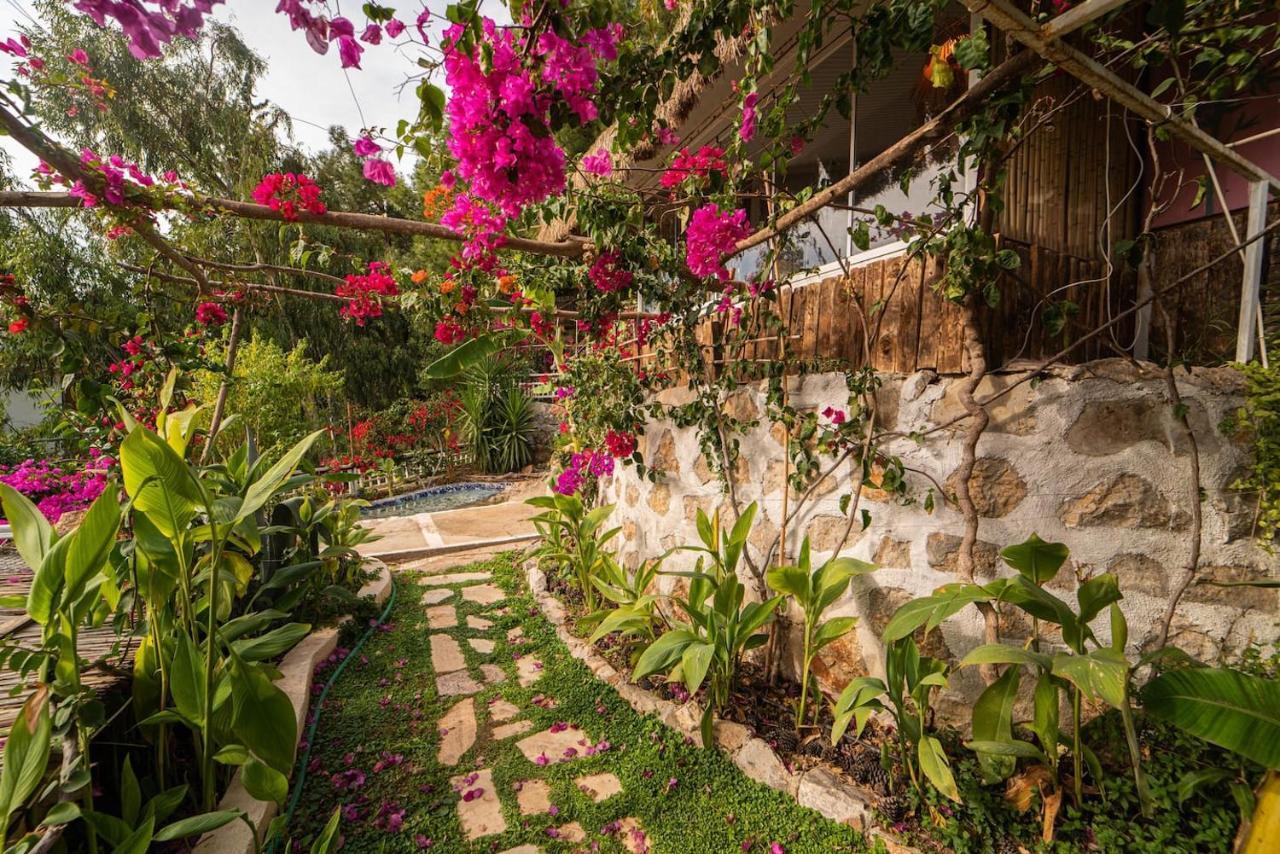 Begonvilla Bungalows 페티예 외부 사진