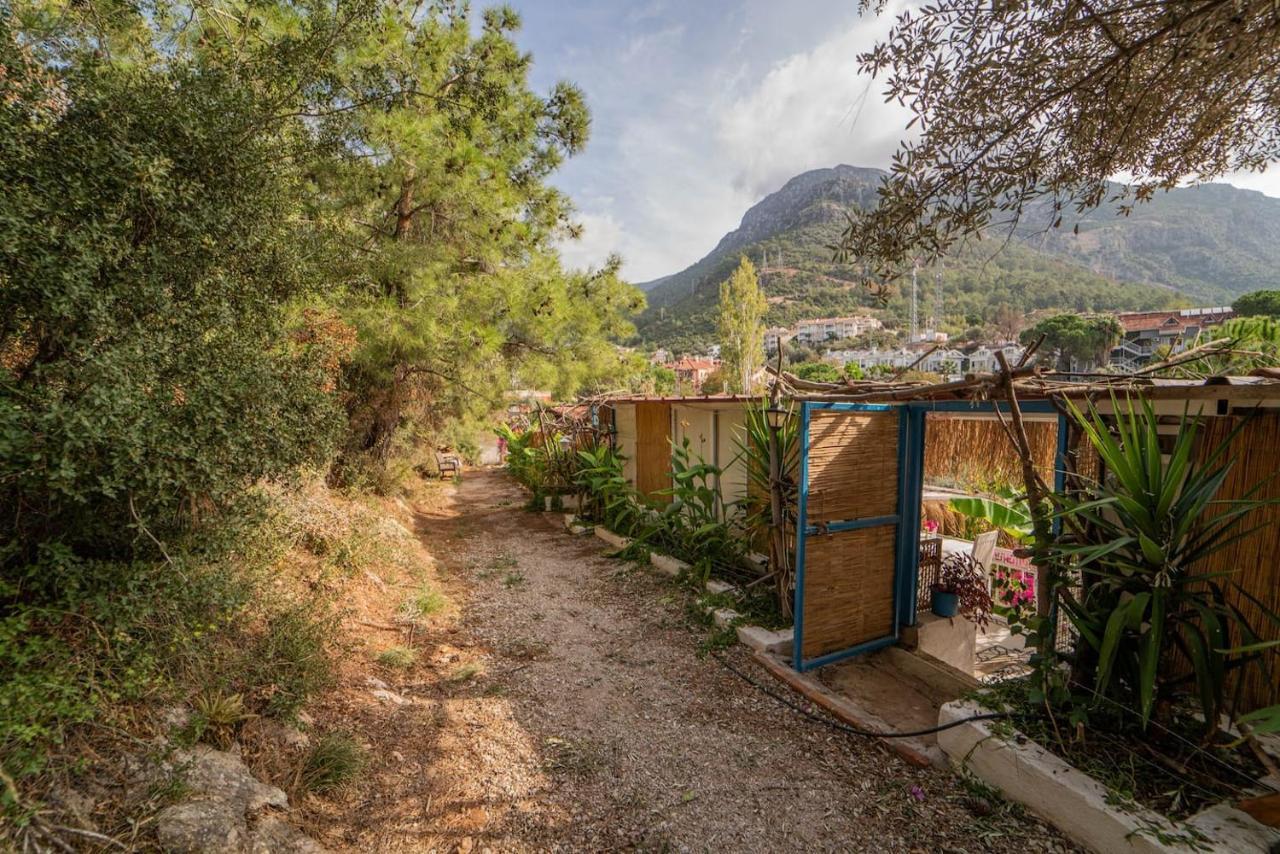 Begonvilla Bungalows 페티예 외부 사진