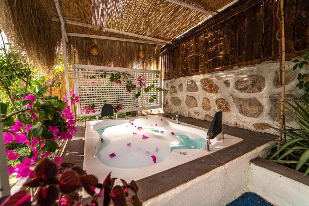 Begonvilla Bungalows 페티예 외부 사진