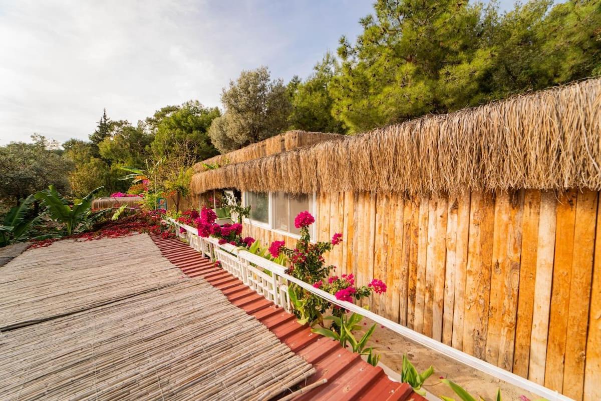 Begonvilla Bungalows 페티예 외부 사진